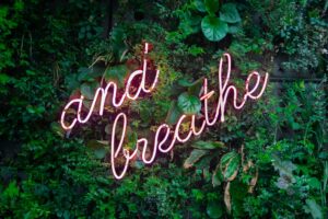 max van den oetelaar buymYm3RQ3U unsplash min