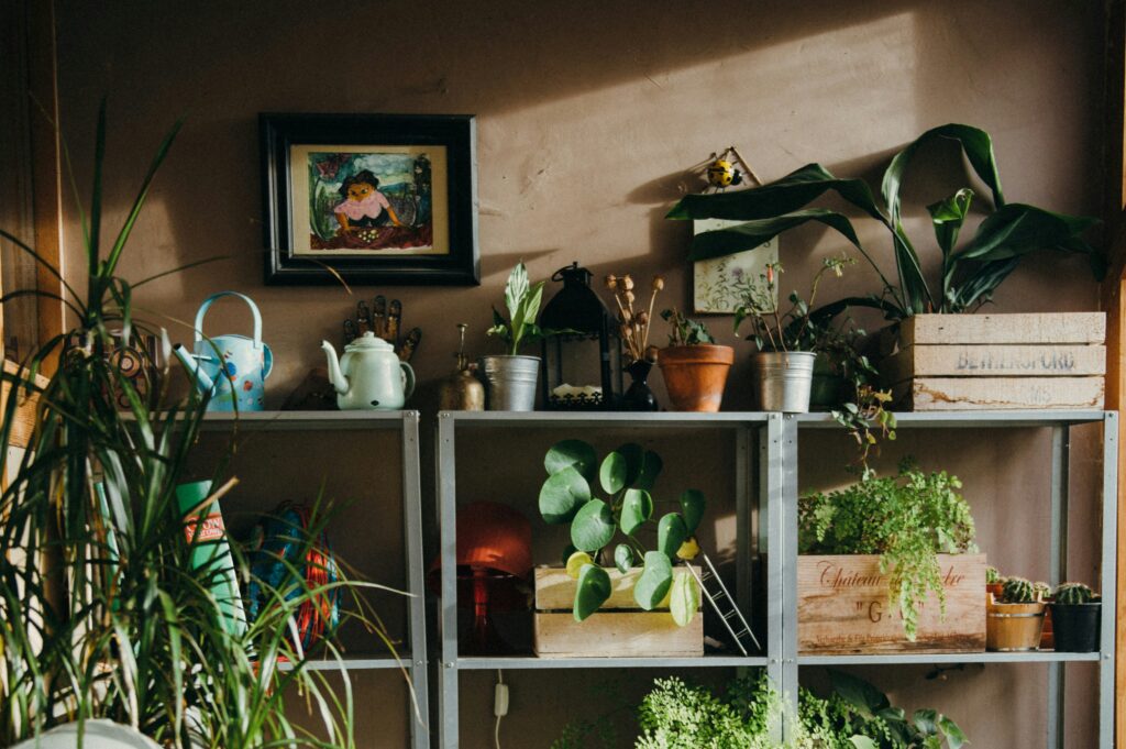 Toxin-free indoor gardening corner in Indian home with metal planters, fresh herbs, and natural decor for clean living spaces