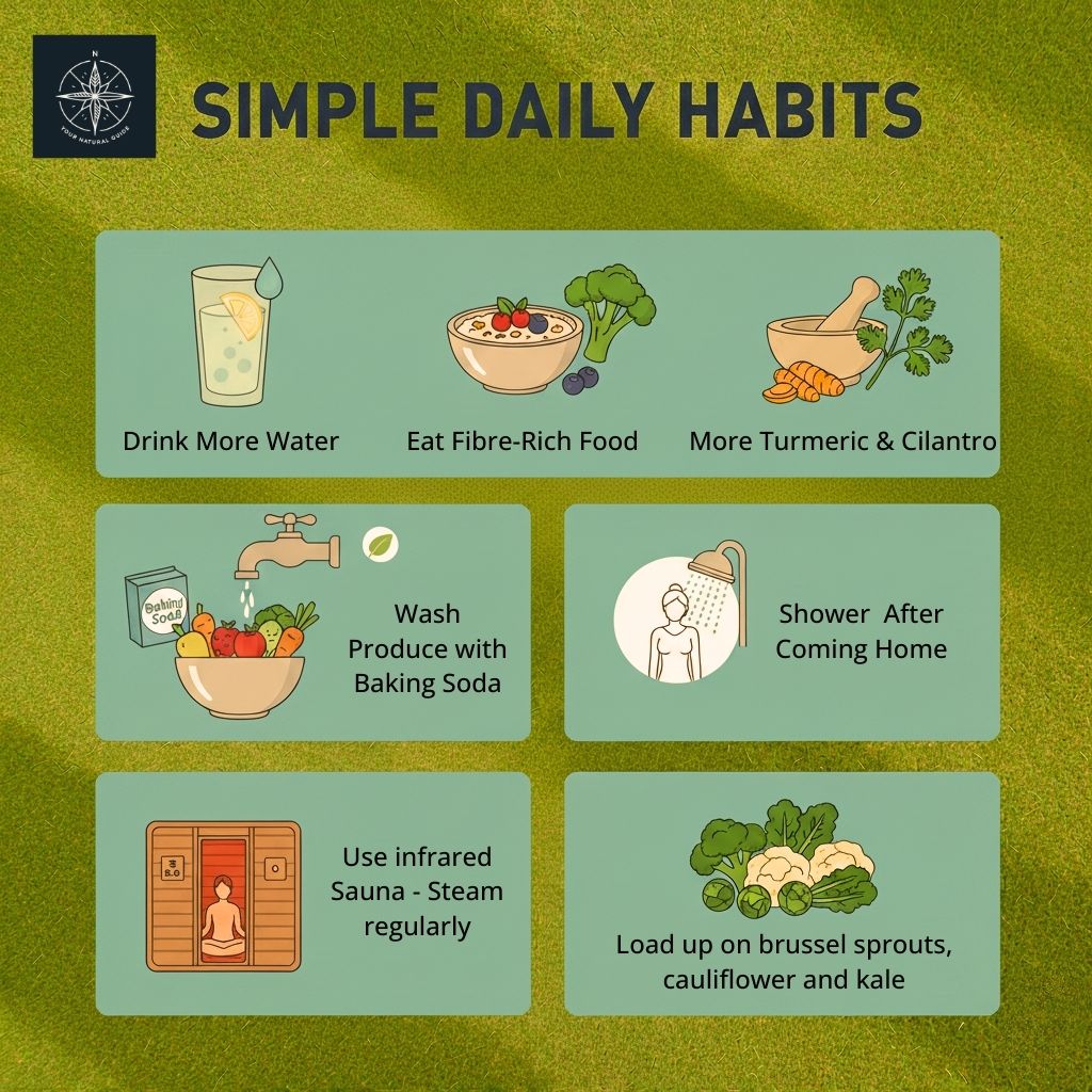 Simple daily detox habits infographic showing water intake, fiber-rich foods, turmeric, produce washing, showering, sauna use, and cruciferous vegetables for pesticide protection