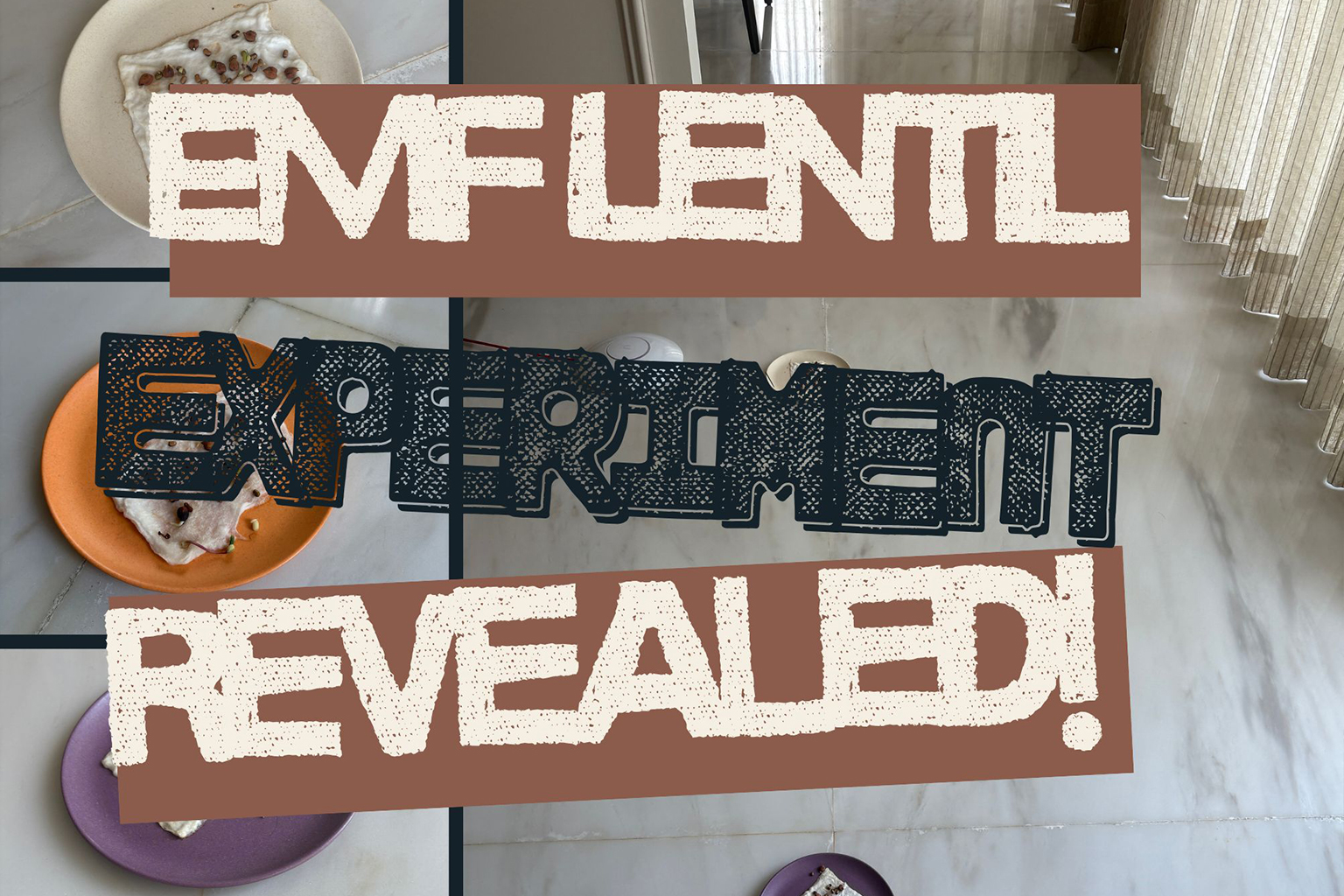 EMF WiFi experiment revealed - three colored plates with lentil sprouts showing electromagnetic field effects on plant growth