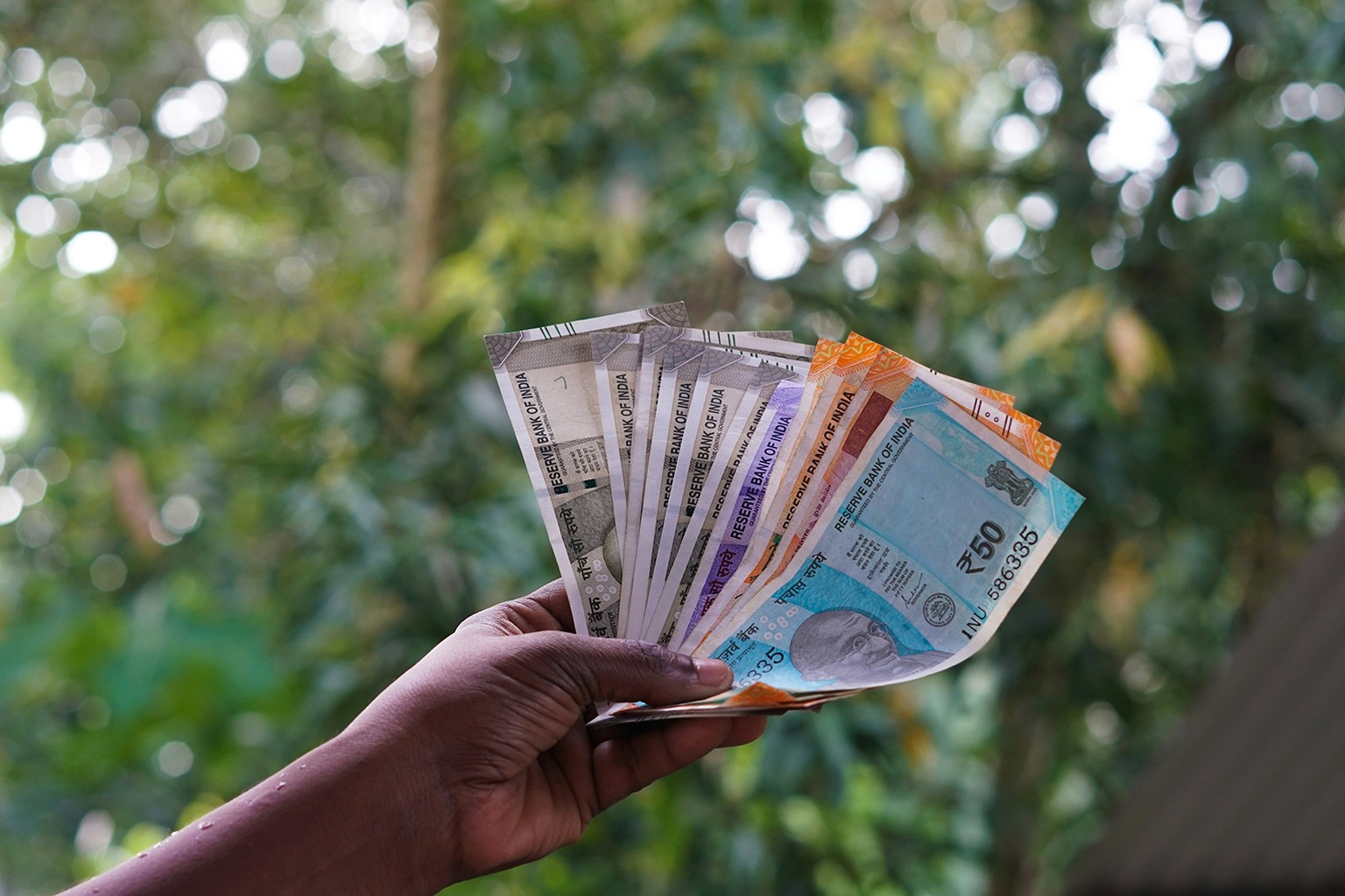 Indian rupee currency notes held in hand showing ₹50 and other denominations — cash hygiene and fungal contamination risks in India