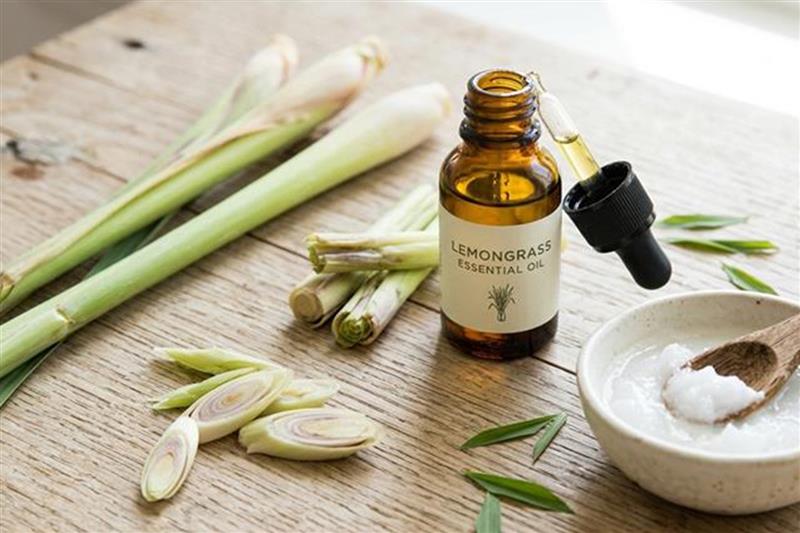 lemongrass oil natural mosquito repellent