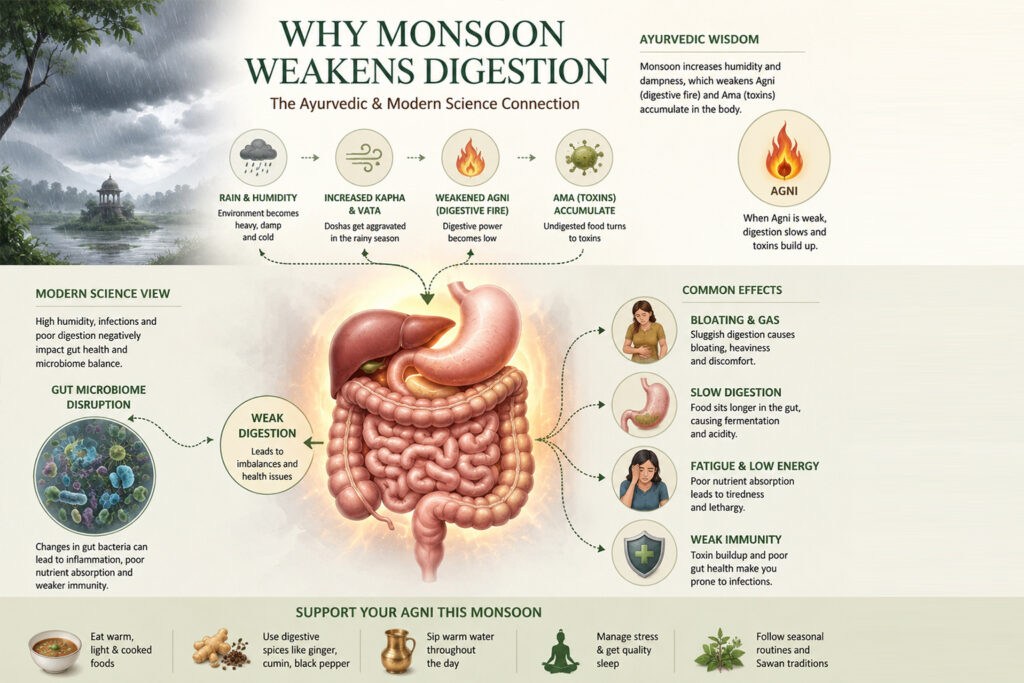 Infographic explaining how monsoon weather weakens digestion and gut health during Sawan using Ayurveda and modern science.
